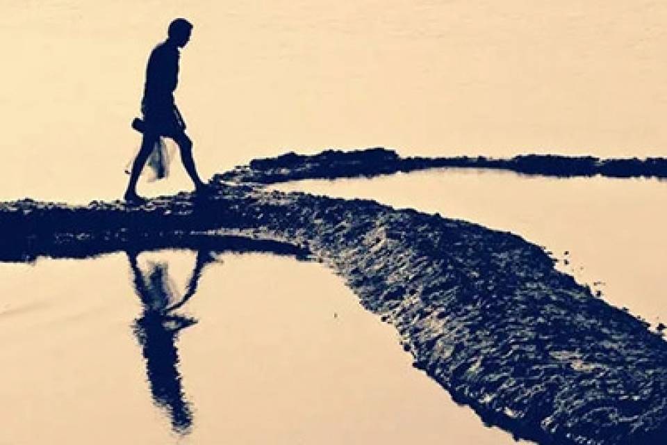 美发与形象设计专业主要学什么 主要课程有哪些